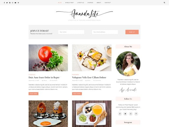 28 Best Free WordPress Food Blog Themes 2023 22 AmandaLite