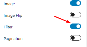 How to add WooCommerce Filter by Category 5 Turn on Filter Option