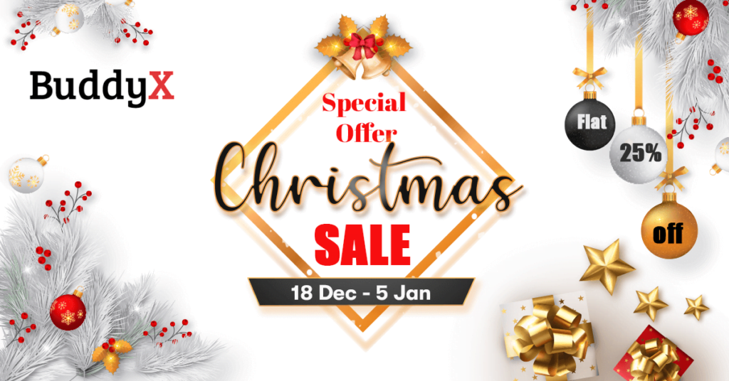 BuddyX Theme Christmas WordPress Deal