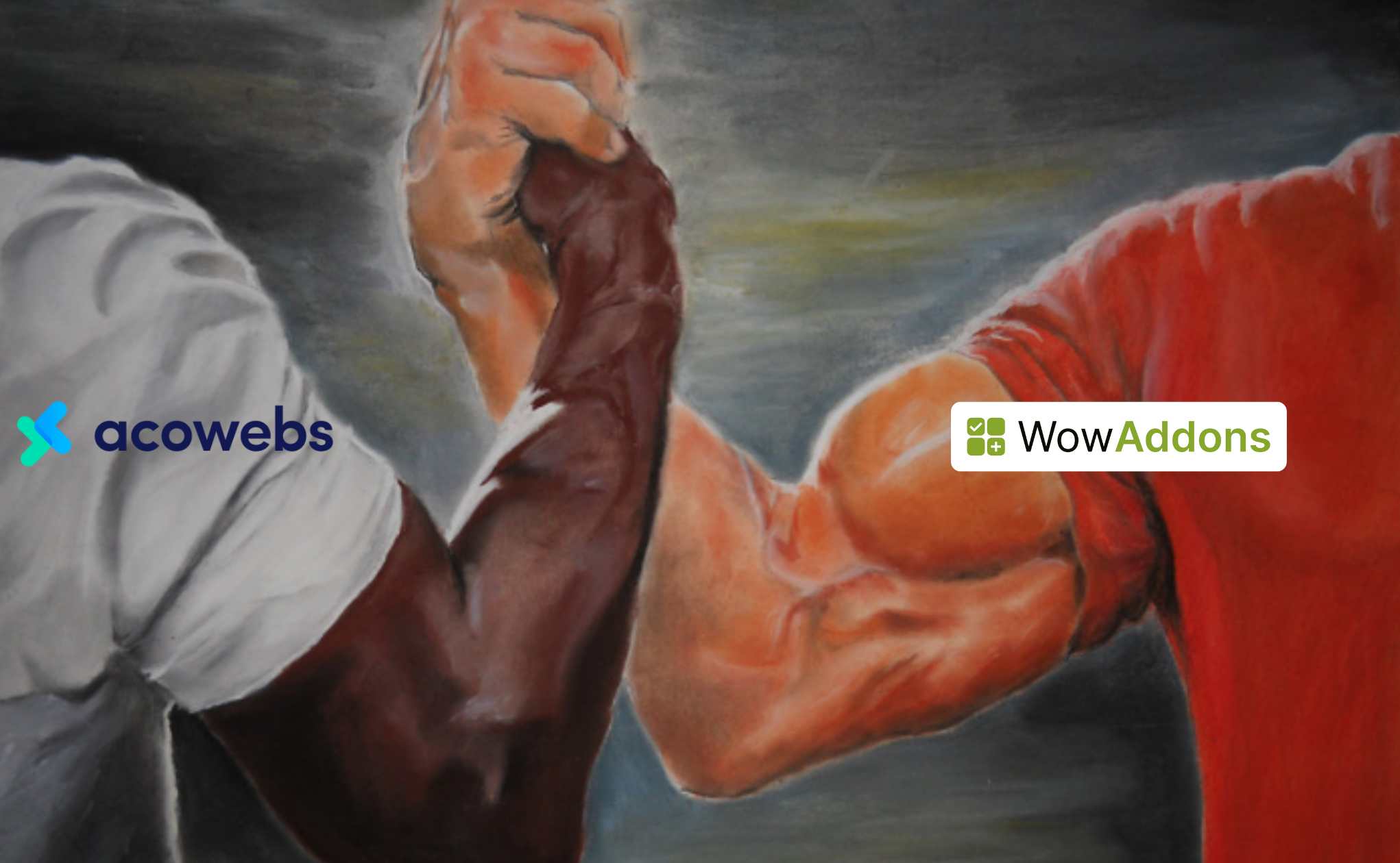 WowAddons for WooCommerce vs WooCommerce Custom Product Addons by Acowebs
