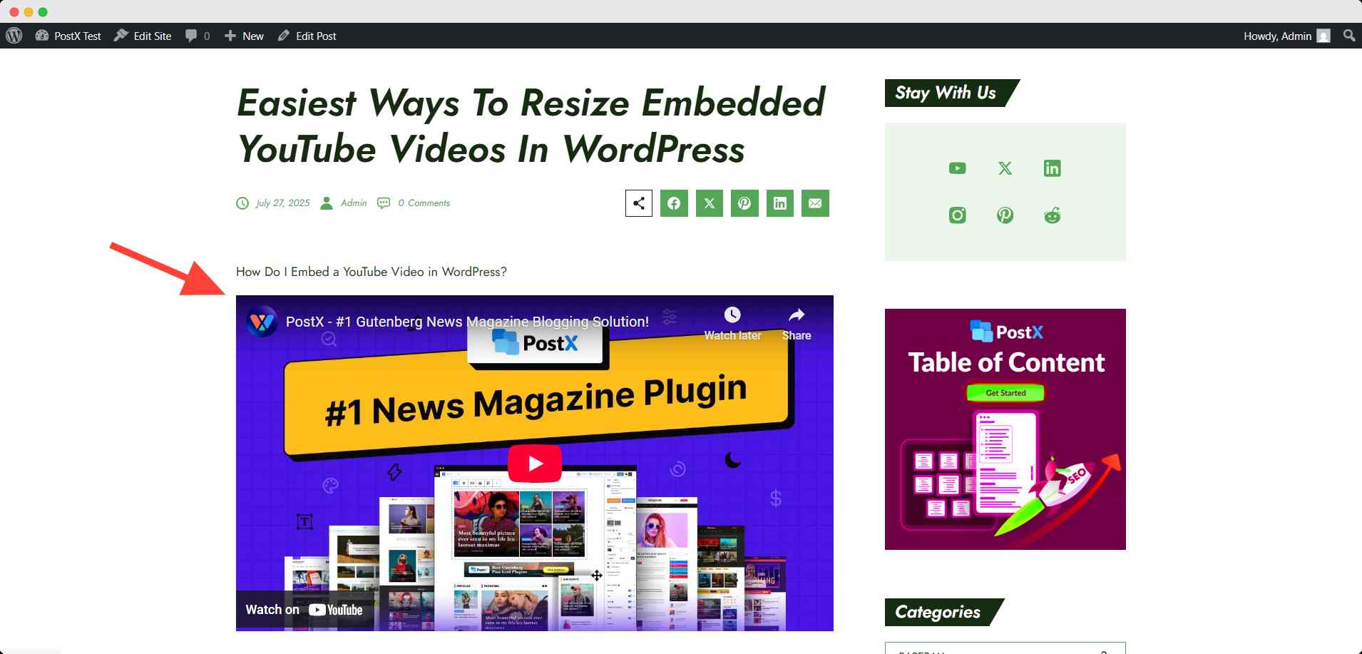 embedded youtube video