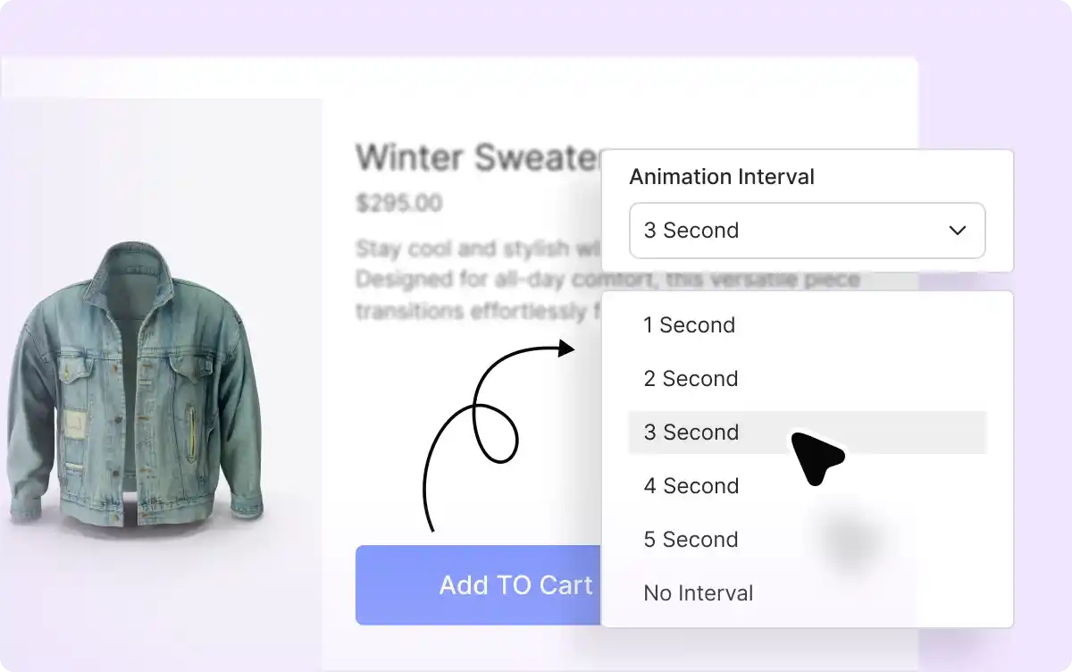 Animation Interval Time