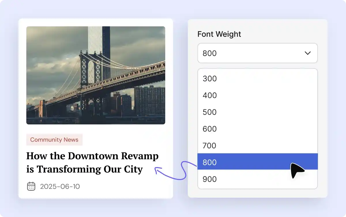 Multiple Font Style Options