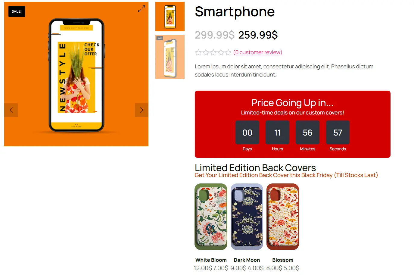 Limited Time Offers for BFCM Campaigns