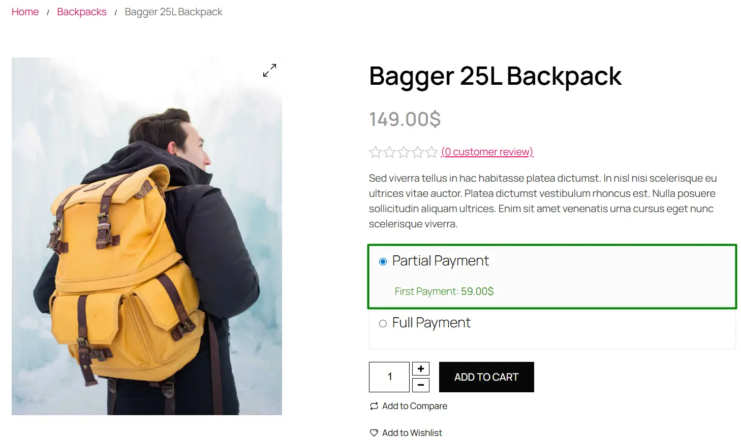 Flexible Partial Payment Options during BFCM