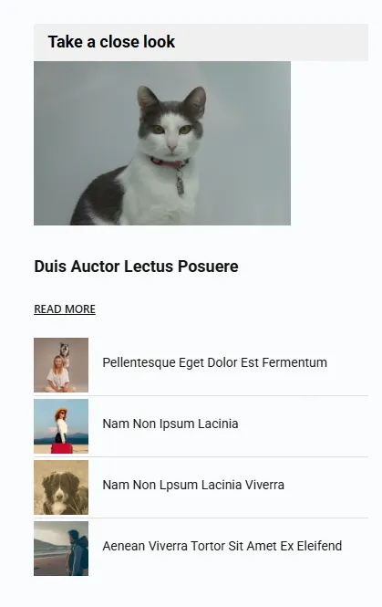 5 Black Friday Blog Layouts That Show Seasonal Content Better