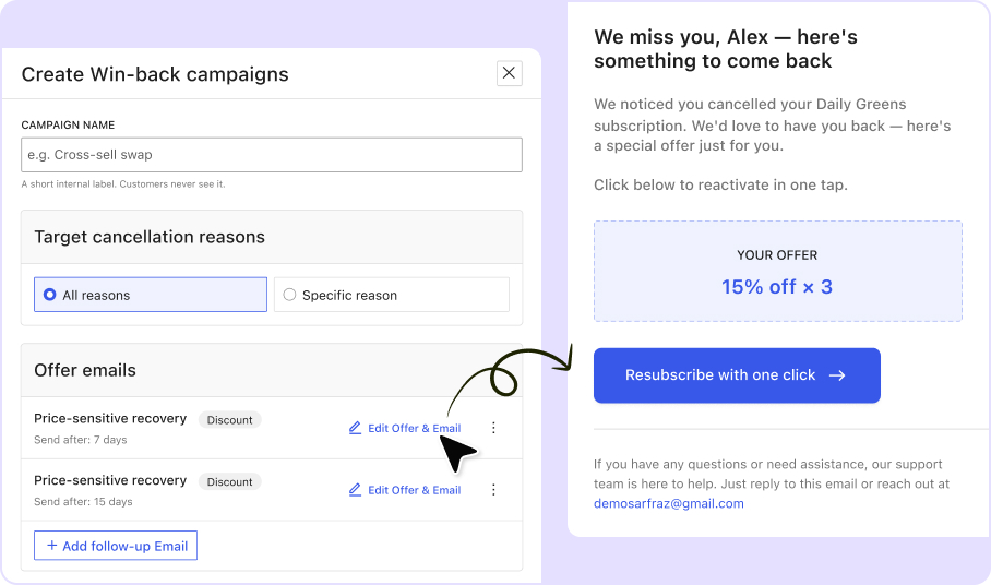 Win-back campaign builder showing automated recovery email schedules and a single-click resubscribe email preview.